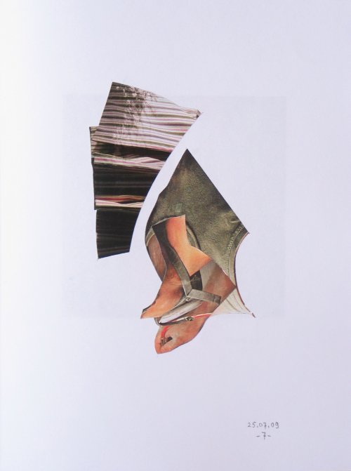 colllage20090725_007