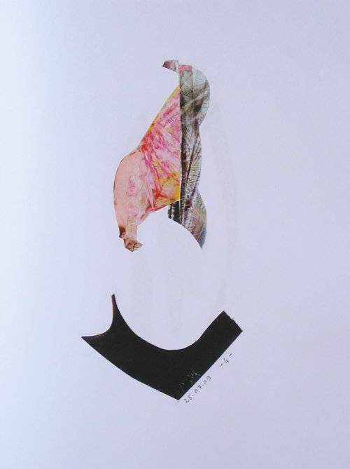 colllage20090725_004