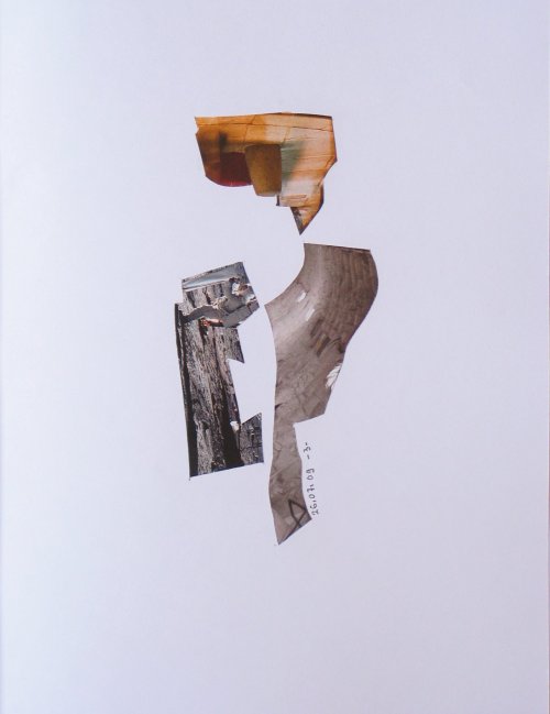colllage20090726_003